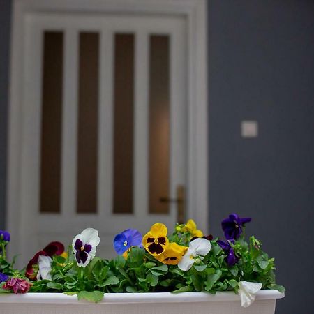 Apartmani Sunset Rogotin エクステリア 写真