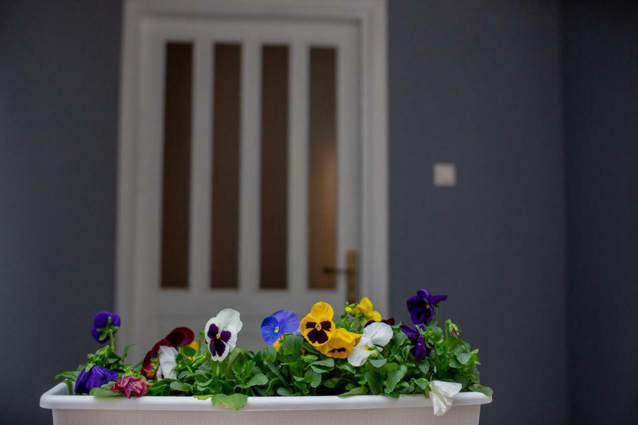 Apartmani Sunset Rogotin エクステリア 写真